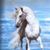 Judy Turley's profile image
