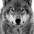 Jason D Mann's profile image