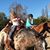 Courtney Hulst's profile image