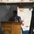 Atifrahman Niazy's profile image