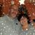 Peggy Cote's profile image