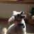 Barbara Grossman's profile image