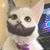 Elba R Rigota's profile image