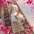 Marion Potts's profile image