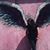 Timaree Torres's profile image