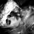 Ali Isenberg Gabbert's profile image