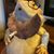 Robert Wilson's profile image