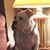 Ron E. Rembe's profile image