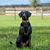 Barb Miller's profile image