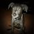 Shannon Renner-Kelley's profile image