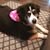 Leticia Solis's profile image