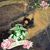 Elena Gamboa's profile image