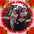 Lynn Schwantes's profile image