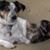 Linda Duvall's profile image