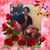 Paty Hidalgo's profile image