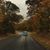 Karrielinn Moore Cadle's profile image