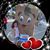 Celeste Gonzales-Bustillos's profile image
