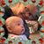 Nola B Caselden's profile image