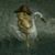 Tippy Toed's profile image