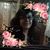 Lupe Ponce's profile image