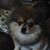Lora Sharon Neal Conley's profile image