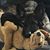 Mary Teixeira's profile image