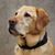 Angie Kremer's profile image
