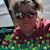 Colleen Discher's profile image