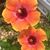 Nicole Kerns's profile image
