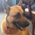 Doreen Zafke's profile image