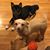 Joezette N Joel Kloepfer's profile image