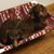 Sheila Fuchs's profile image
