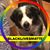 D'Arcy Deswert Mattis's profile image