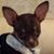 Eliizabeth Taylor's profile image