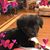 BJ Susan Frank Nobles's profile image