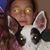 Petra Peggyna's profile image