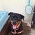 Jody Miller's profile image