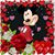 Angelica Aguirre Colliander's profile image