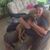 Marianne Weaver's profile image