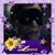 Chris Harner's profile image