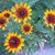 John H B Kauss's profile image