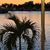Kristy Evert Storrin's profile image