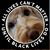 Mary Vinopal-Sowers's profile image