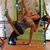 Mary DeRenzi-Potts's profile image