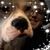 Janelle Scheetz Beatty's profile image