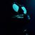 Jamie Corl's profile image
