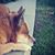 Amy Whitcomb's profile image