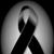 Patricia Cobian's profile image
