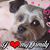 Karen Davis's profile image