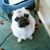 Linda Tonn's profile image